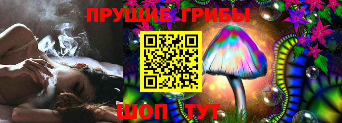 Таганрог  Псилоцибиновые грибы Cubensis  Вход с VPN 