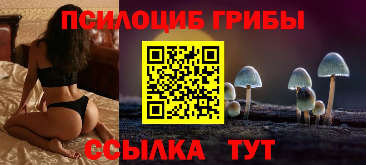 Галлюциногенные грибы GOLDEN TEACHER Таганрог